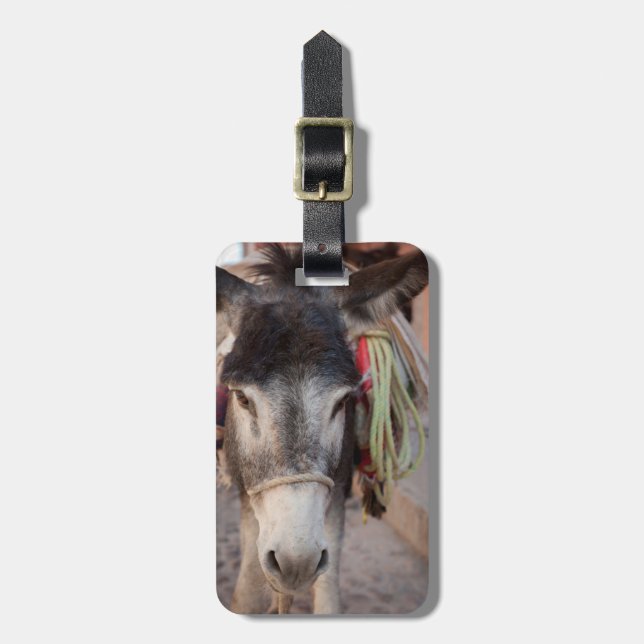 Mexico, San Miguel De Allende 2 Luggage Tag (Front Vertical)