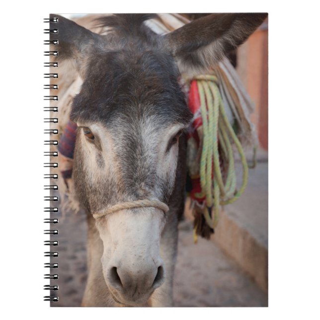 Mexico, San Miguel De Allende 2 Notebook (Front)