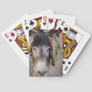Mexico, San Miguel De Allende 2 Playing Cards