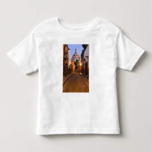 Mexico, San Miguel de Allende. Early morning Toddler T-Shirt
