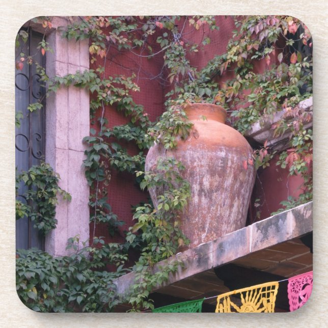 Mexico, San Miguel de Allende, Ivy, clay pot, Coaster (Front)
