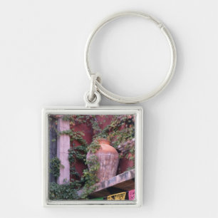 Mexico, San Miguel de Allende, Ivy, clay pot, Key Ring