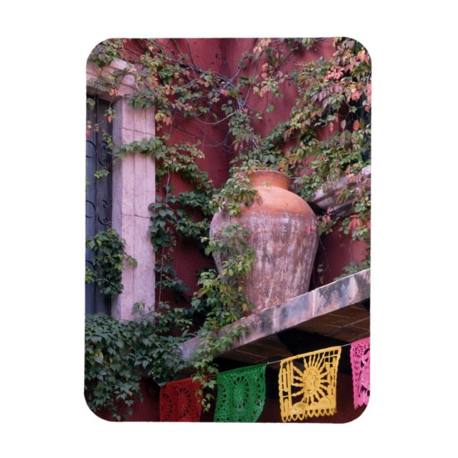Mexico, San Miguel de Allende, Ivy, clay pot, Magnet (Vertical)