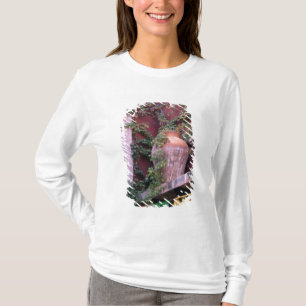 Mexico, San Miguel de Allende, Ivy, clay pot, T-Shirt