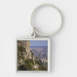 Mexico, State of Chihuahua, Copper Canyon. THIS 2 Key Ring