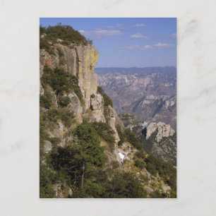 Mexico, State of Chihuahua, Copper Canyon. THIS 2 Postcard
