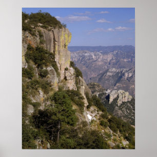Mexico, State of Chihuahua, Copper Canyon. THIS 2 Poster