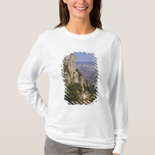Mexico, State of Chihuahua, Copper Canyon. THIS 2 T-Shirt