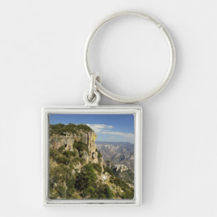 Mexico, State of Chihuahua, Copper Canyon. THIS Key Ring