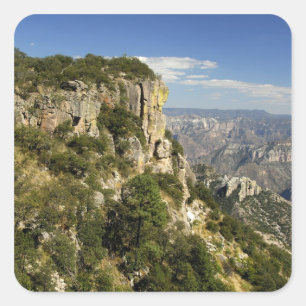 Mexico, State of Chihuahua, Copper Canyon. THIS Square Sticker