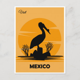 Mexico Vintage Mexican Pelican Travel Postcard