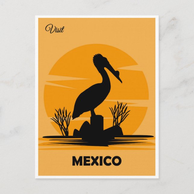 Mexico Vintage Mexican Pelican Travel  Postcard (Front)
