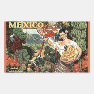 Mexico vintage travel stickers