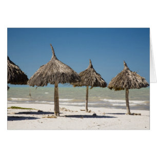 Mexico, Yucatan Peninsula, Progreso. Thatch