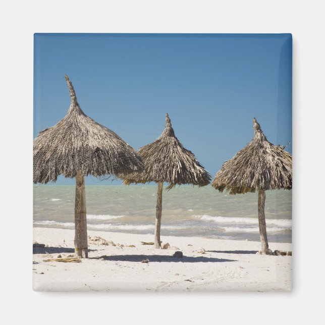 Mexico, Yucatan Peninsula, Progreso. Thatch Magnet (Front)