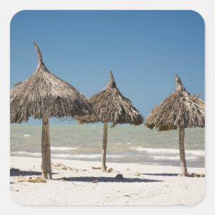 Mexico, Yucatan Peninsula, Progreso. Thatch Square Sticker