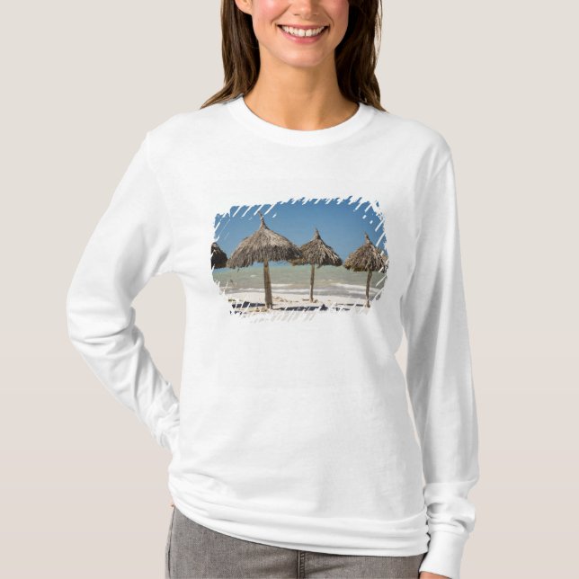 Mexico, Yucatan Peninsula, Progreso. Thatch T-Shirt (Front)