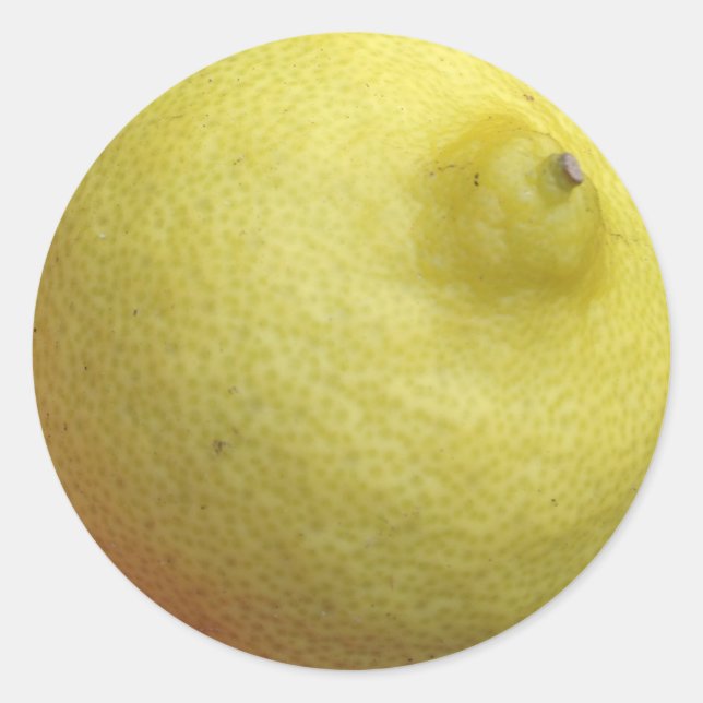 Meyer Lemon Classic Round Sticker (Front)