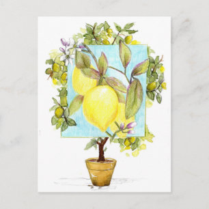 Meyer Lemon Tree Citrus Fruit Garden Postcard