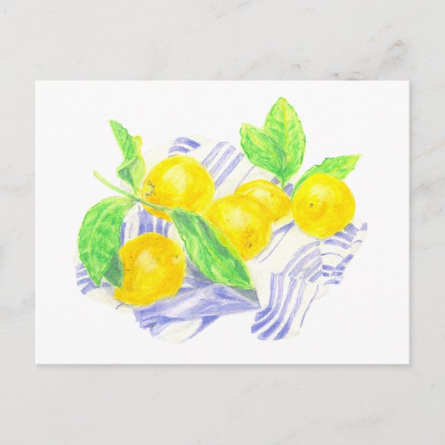 Meyer lemons on kitchen towel postcard (Front)