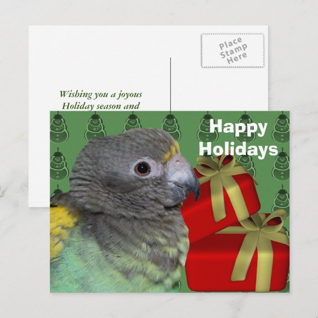 Meyers Parrot Christmas Holiday Postcard (Front/Back)
