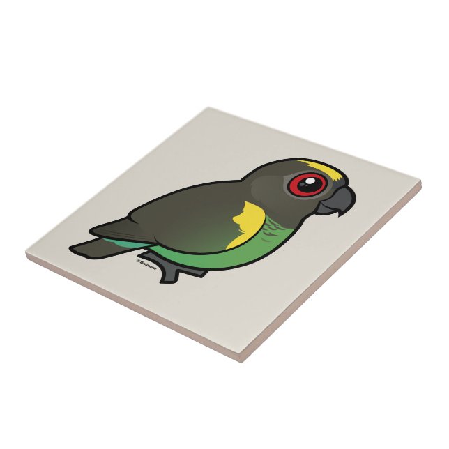 Meyer's Parrot Tile (Side)