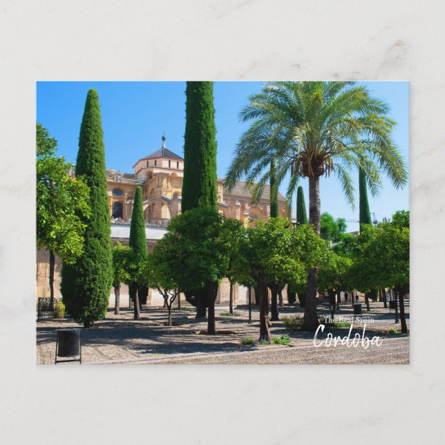 Mezquita Catedral de Córdoba -The Real Spain Postcard (Front)