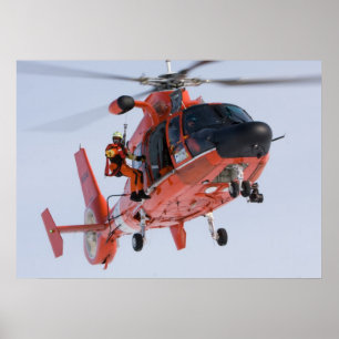 MH-65 Dolphin Poster