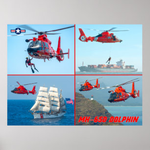 MH-65D DOLPHIN POSTER