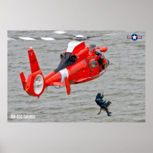 MH-65D DOLPHIN POSTER