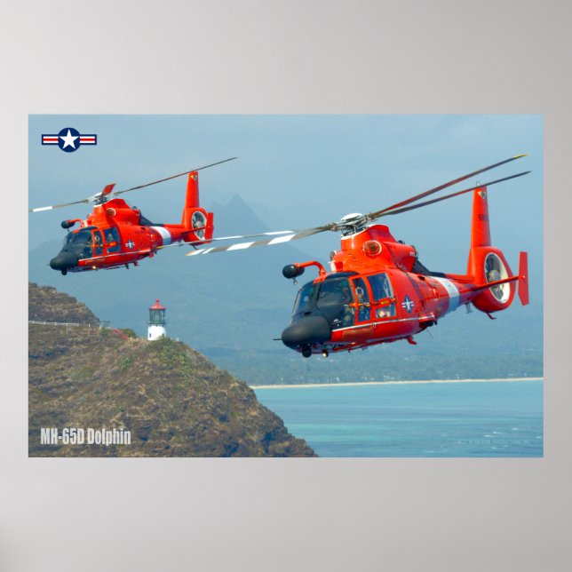 MH-65D DOLPHIN POSTER (Front)