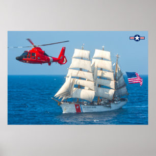 MH-65D DOLPHIN POSTER