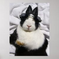 MHRR Dutch black white bunny rabbit summer poster