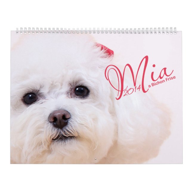 Mia - a Bichon Frise 2014 Calendar (Cover)