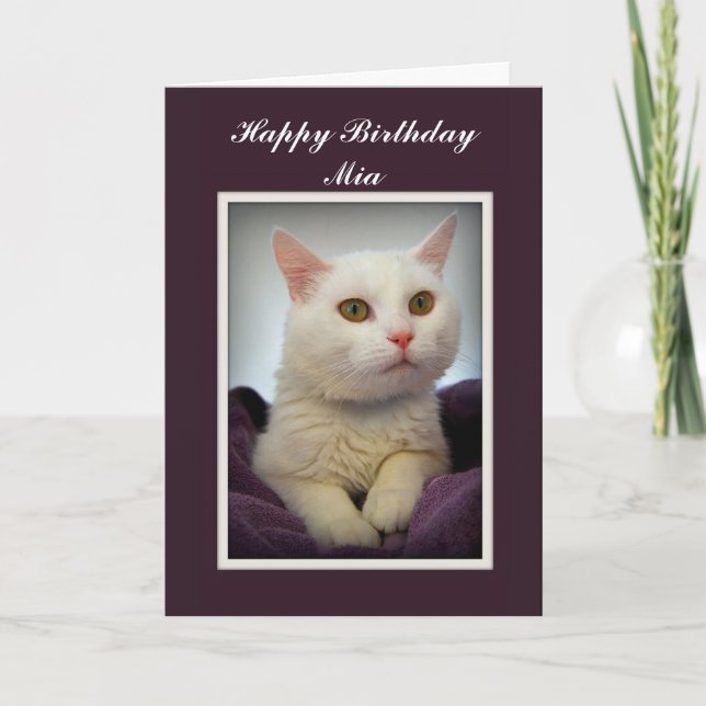 Mia Happy Birthday White Cat Card (Front)