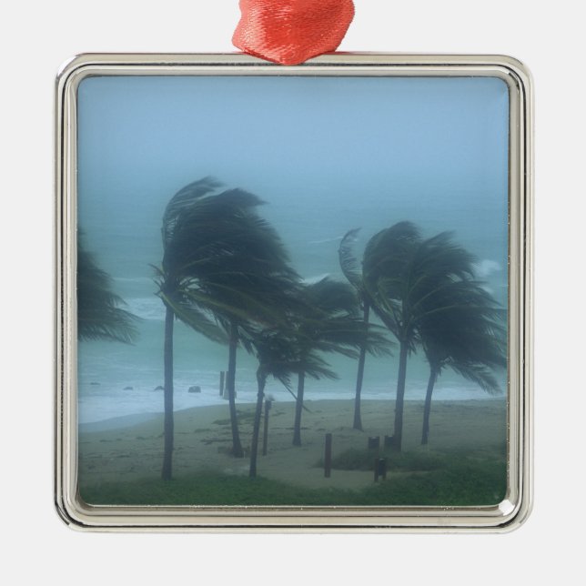 Miami Beach, Florida, hurricane winds lashing Metal Tree Decoration (Front)