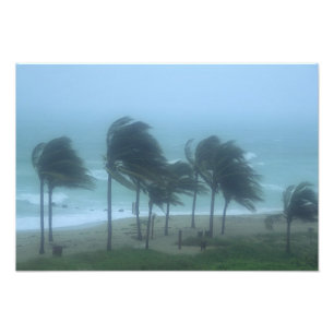 Miami Beach, Florida, hurricane winds lashing Photo Print