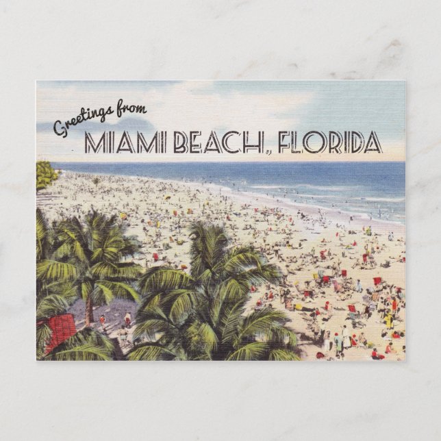 Miami Beach Florida Postcard | Vintage (Front)