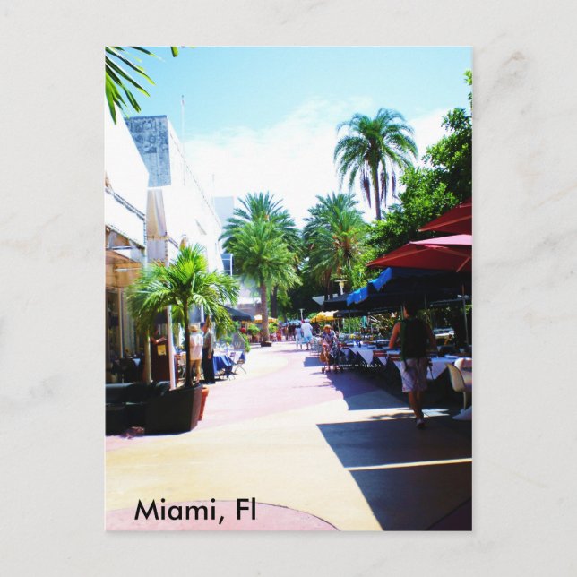 Miami, Fl Postcard (Front)