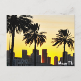 Miami FL Postcard