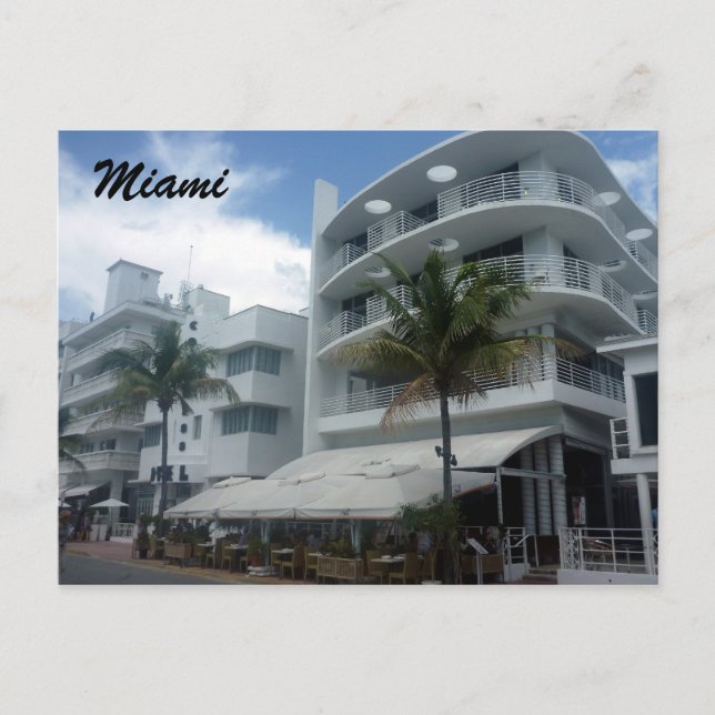 miami fl postcard (Front)