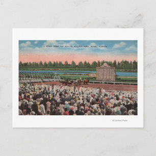 Miami, FL - View of Hialeah Park with Horse Postcard