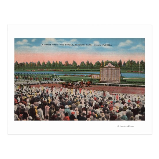Miami, FL - View of Hialeah Park with Horse Postcard