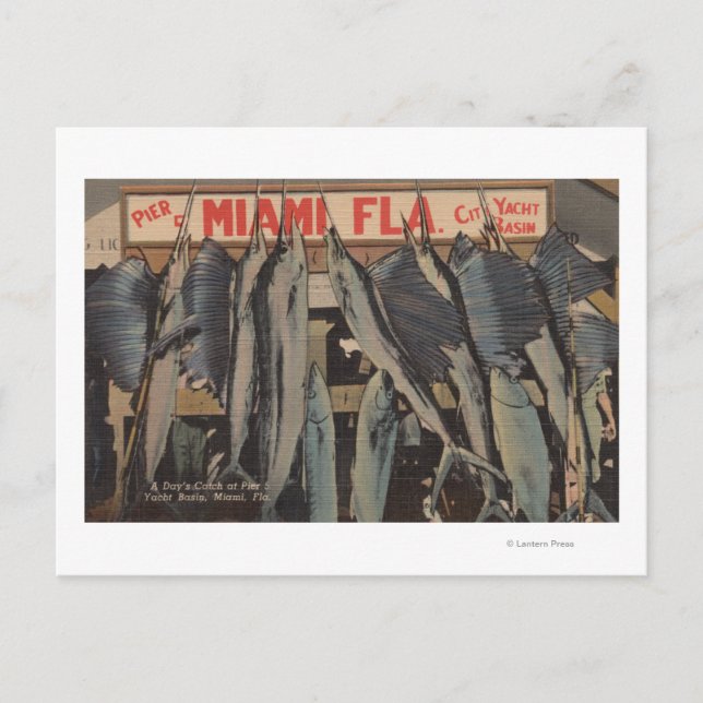 Miami, FL - View of Pier 5 City Yacht Club w/ Postcard (Front)