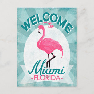 Miami Florida Pink Flamingo - Vintage Retro Travel Postcard