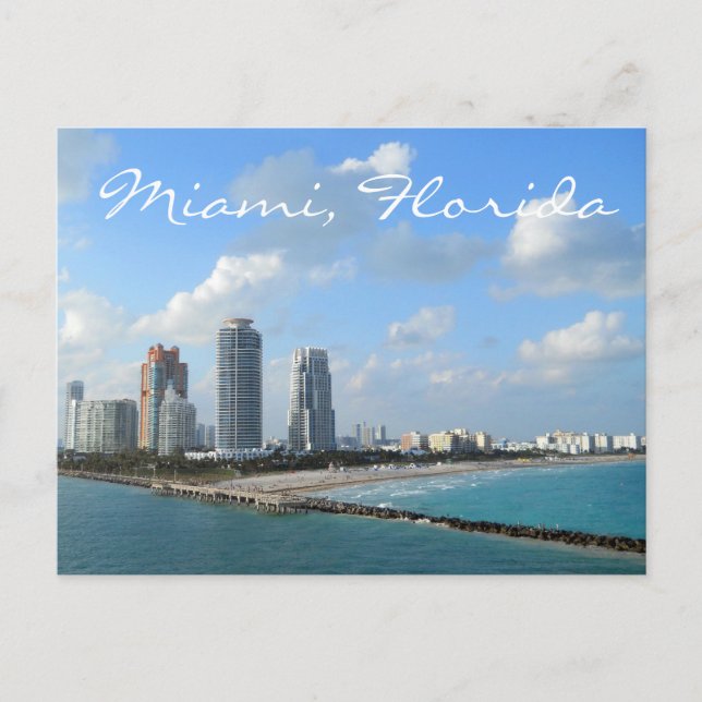 Miami Florida Postcard (Front)