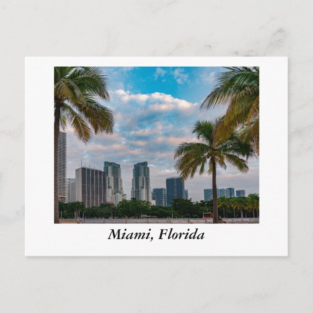 Miami Florida Postcard (Front)