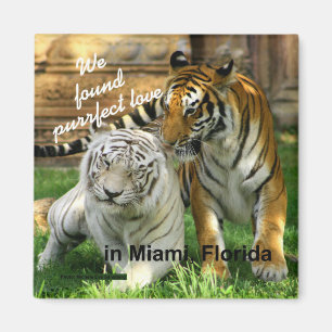 Miami Florida Purrfect Love Tiger Fridge Magnet
