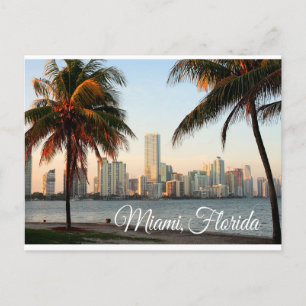 Miami Florida Skyline and Harbour At Night- USA Postcard
