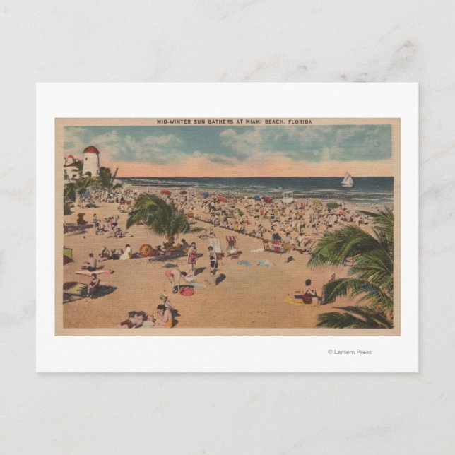 Miami, Florida - View of Sunbathers at Miami Postcard (Front)